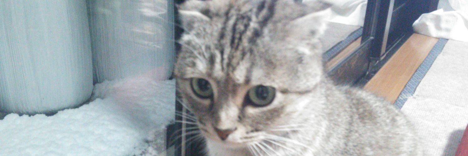 iminyanco's profile banner image