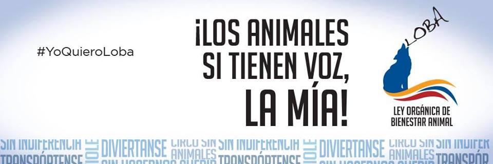 Voluntarios RA banner