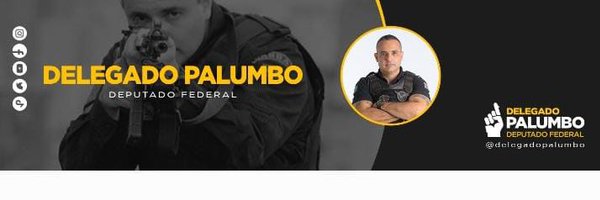 DELEGADO PALUMBO Profile Banner