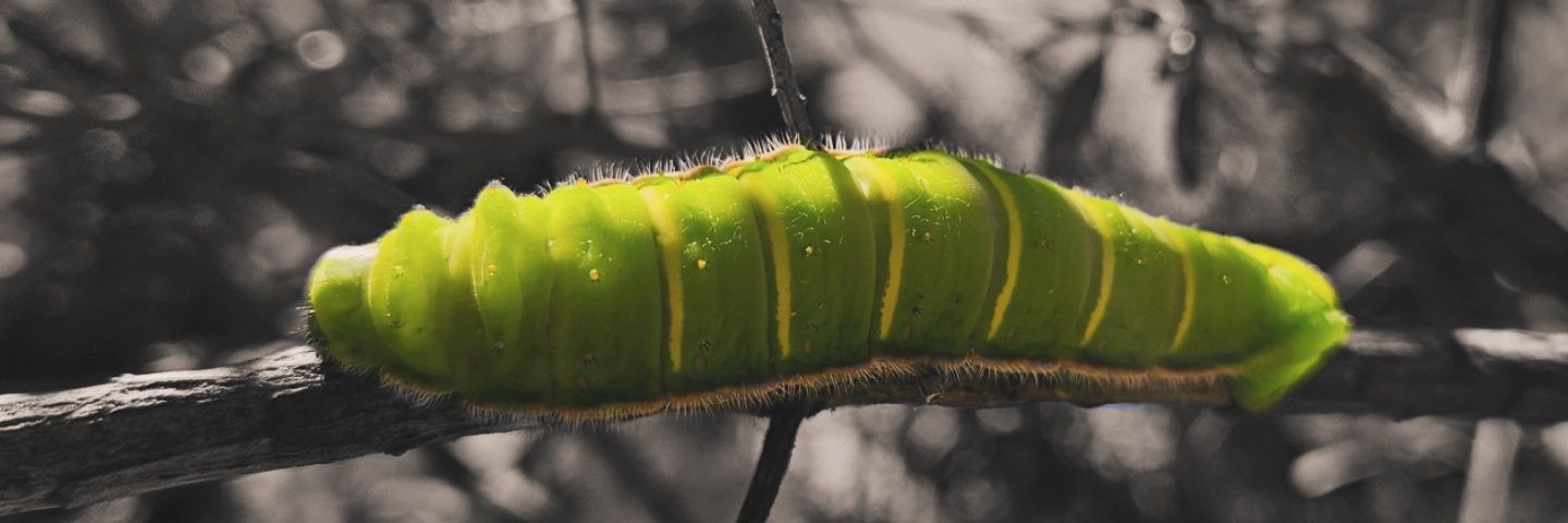 MaTaxAj's profile banner image