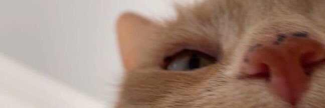 .cherryb banner