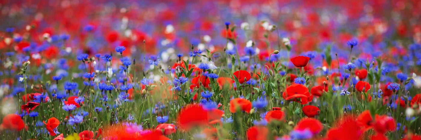 look 4 me @ other socials banner