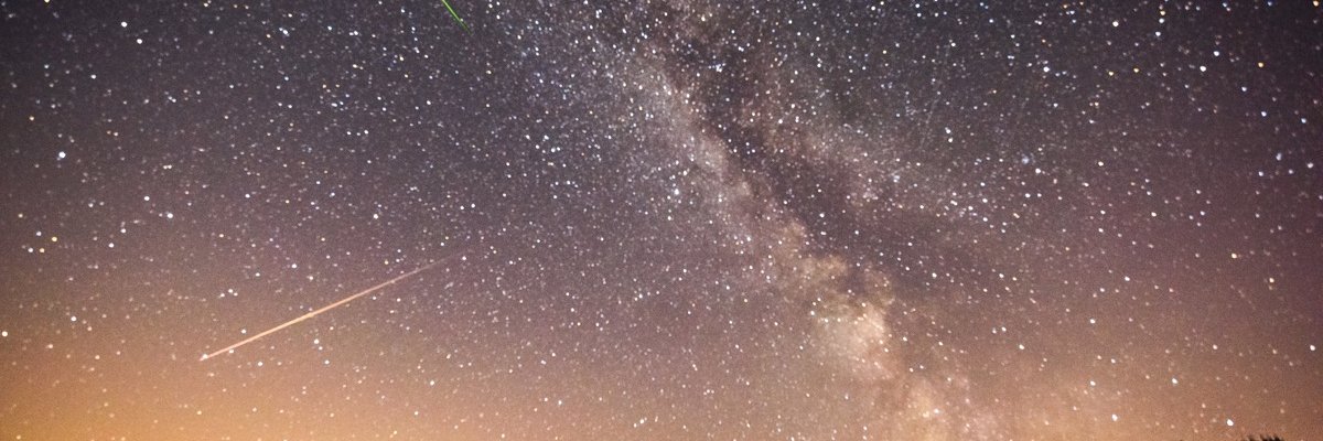 wayneyoung's profile banner image