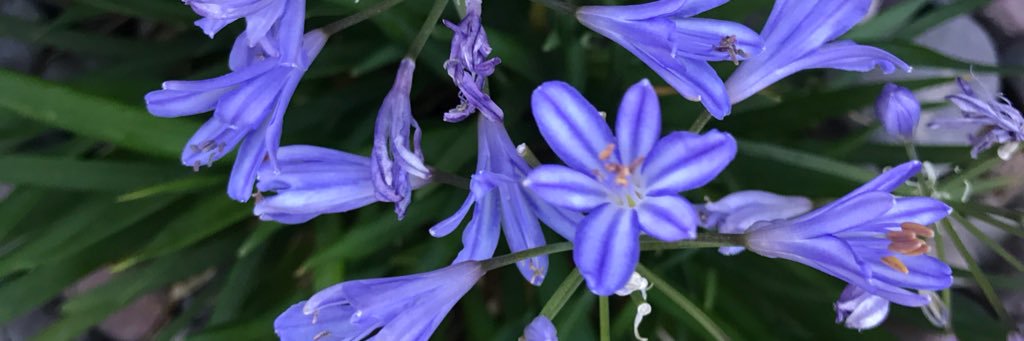 TeriMartin13's profile banner image