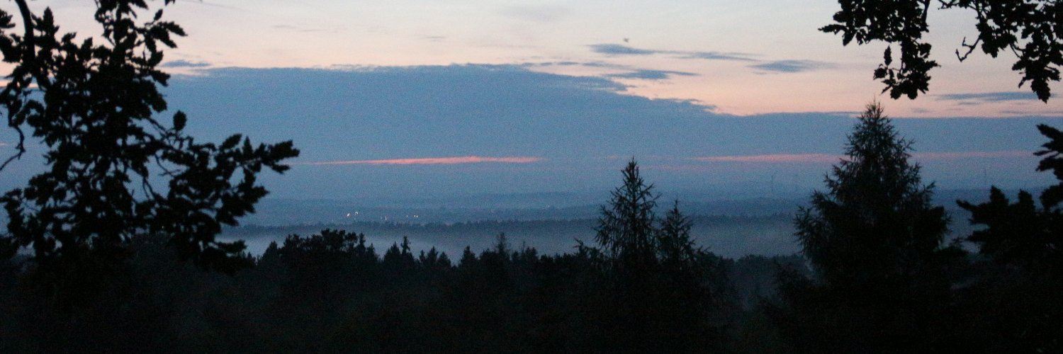 Stimmen aus dem Dannenröder Wald banner