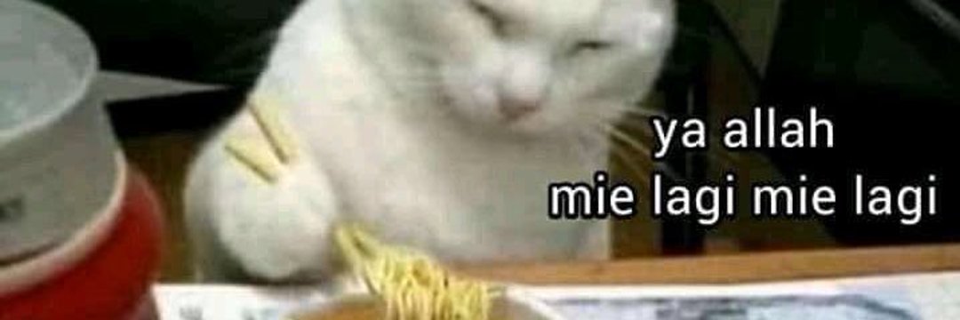 febirmd's profile banner image