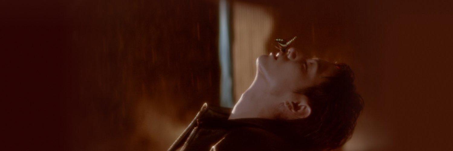 ℓσтυℓαѕll𝕊𝕦𝕟𝕤𝕖𝕥𝕤𝕒𝕟𝕕ℂ𝕚𝕘𝕒𝕣𝕖𝕥𝕥𝕖𝕤🦋 banner