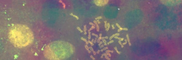 PoloAug Profile Banner