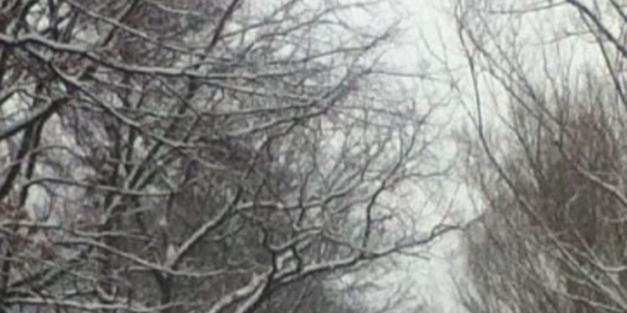 JonesJonestoo's profile banner image
