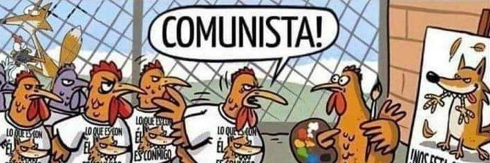 Rocío 🧙🏻‍♀️🔮🌞's banner