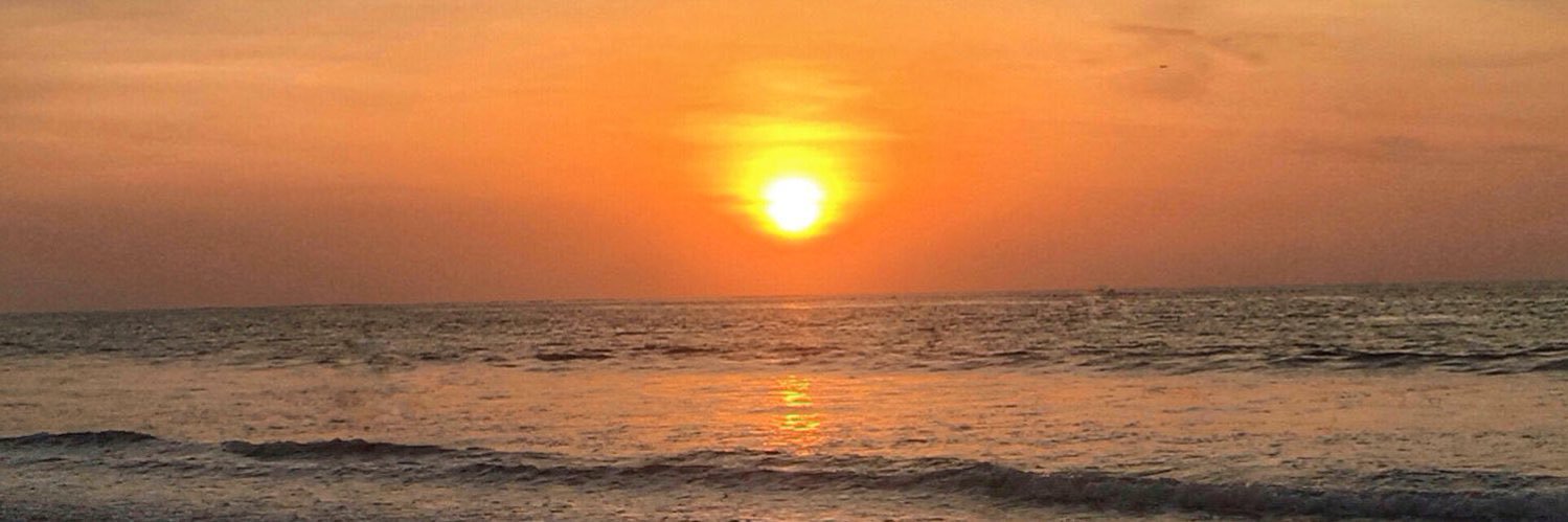 _hzlntcff's profile banner image