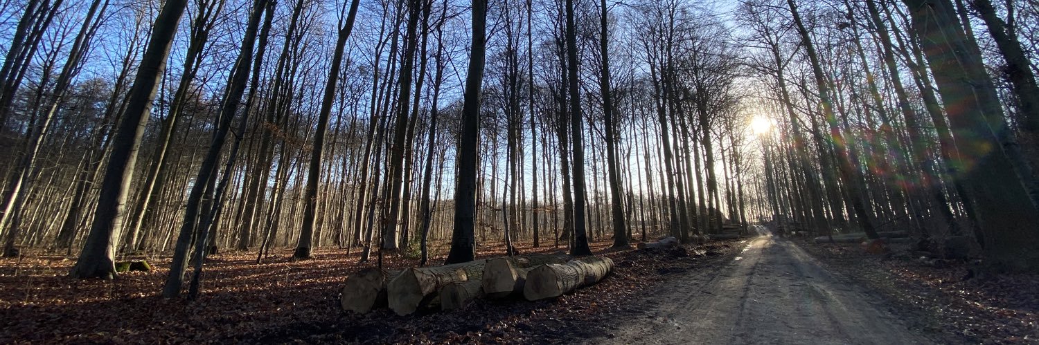 lars bo axelholm banner