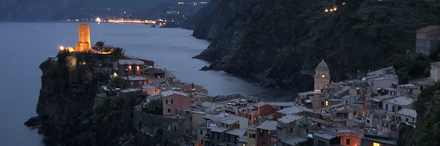 Alison Panasik banner