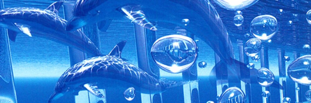 snwy banner