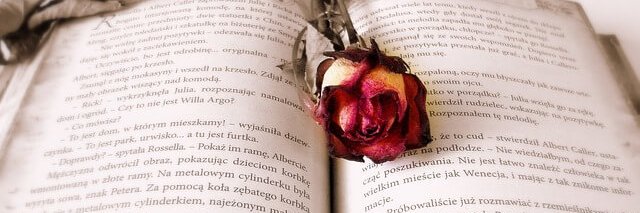 ことは banner