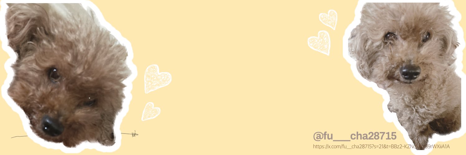 ふーちゃ🌱 banner