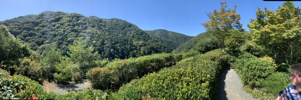 RachelKaminski4 Profile Banner