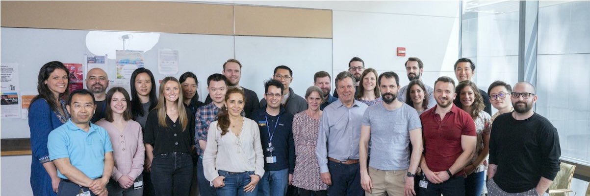 Lowe Lab's banner