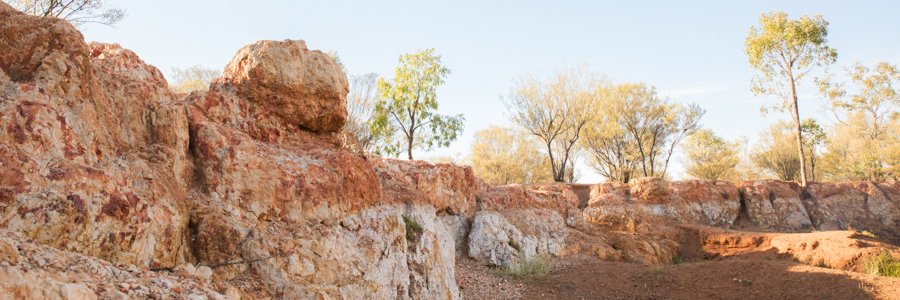 Mayor Shaun (Zoro) Radnedge banner