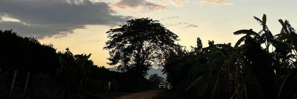 tmointp926199 Profile Banner