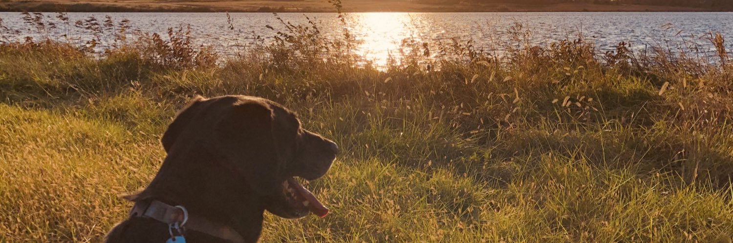 Crooksie26's profile banner image