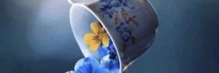 Hasan_ALTINDAL's profile banner image