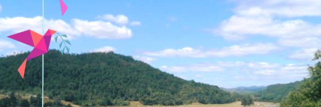 paula_sempe's profile banner image
