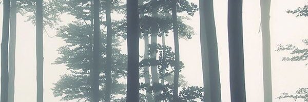 𝔊𝔘𝔑𝔇𝔒𝔎 banner