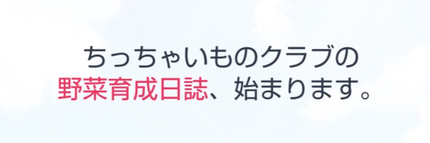 masa_chaki's profile banner image