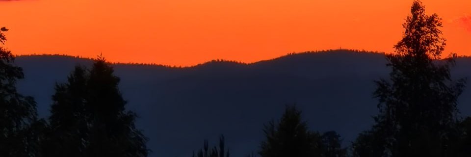 Ella banner