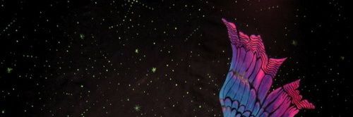SnickrL's profile banner image