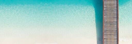 nonelmonel's profile banner image