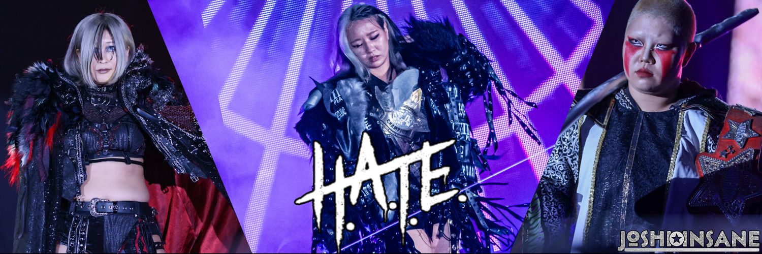 𝔍𝔬𝔰𝔥𝔦 ℑ𝔫𝔰𝔞𝔫𝔢's banner