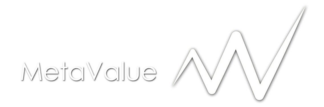 metavalue's profile banner image