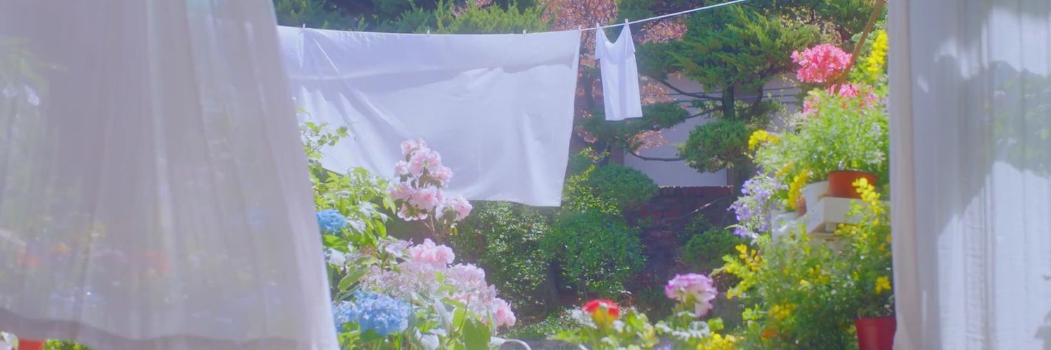sun_day banner