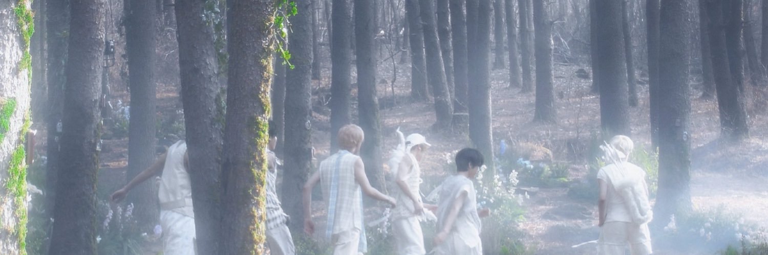 모 banner