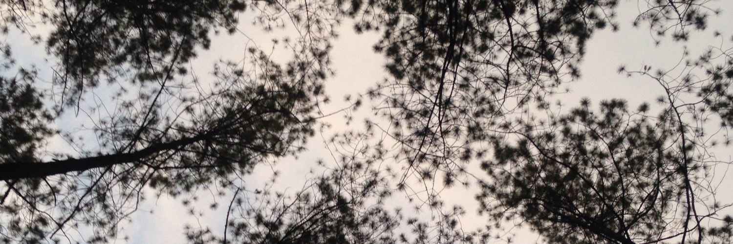 SANDY pake "Y" banner