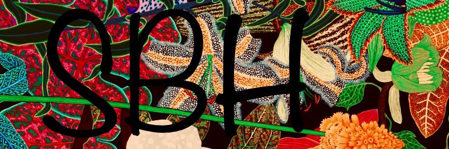 HimFlowers's profile banner image