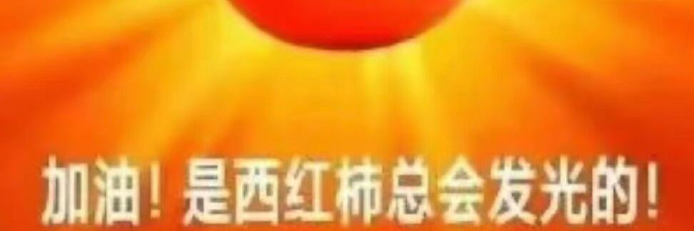 西红柿van banner