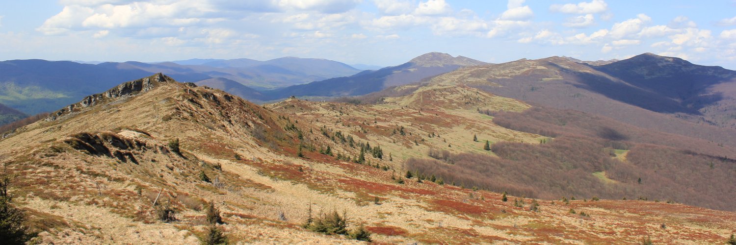 YoungGeomorphologistsPL banner