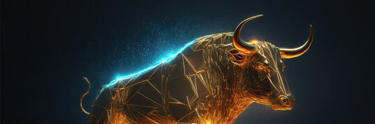 Hot Bull 🍆 banner