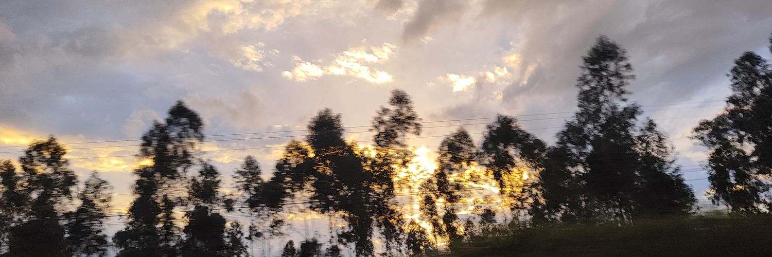 MeilingIL's profile banner image