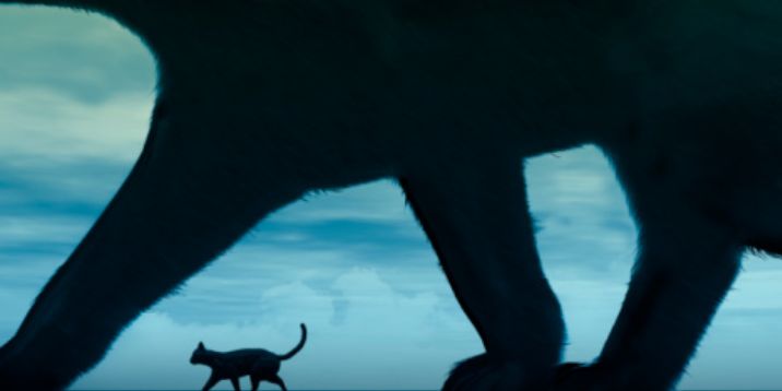 yu1_mto's profile banner image