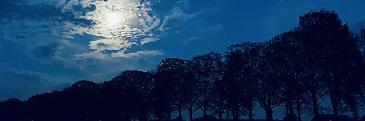 Comite Schone Lucht banner