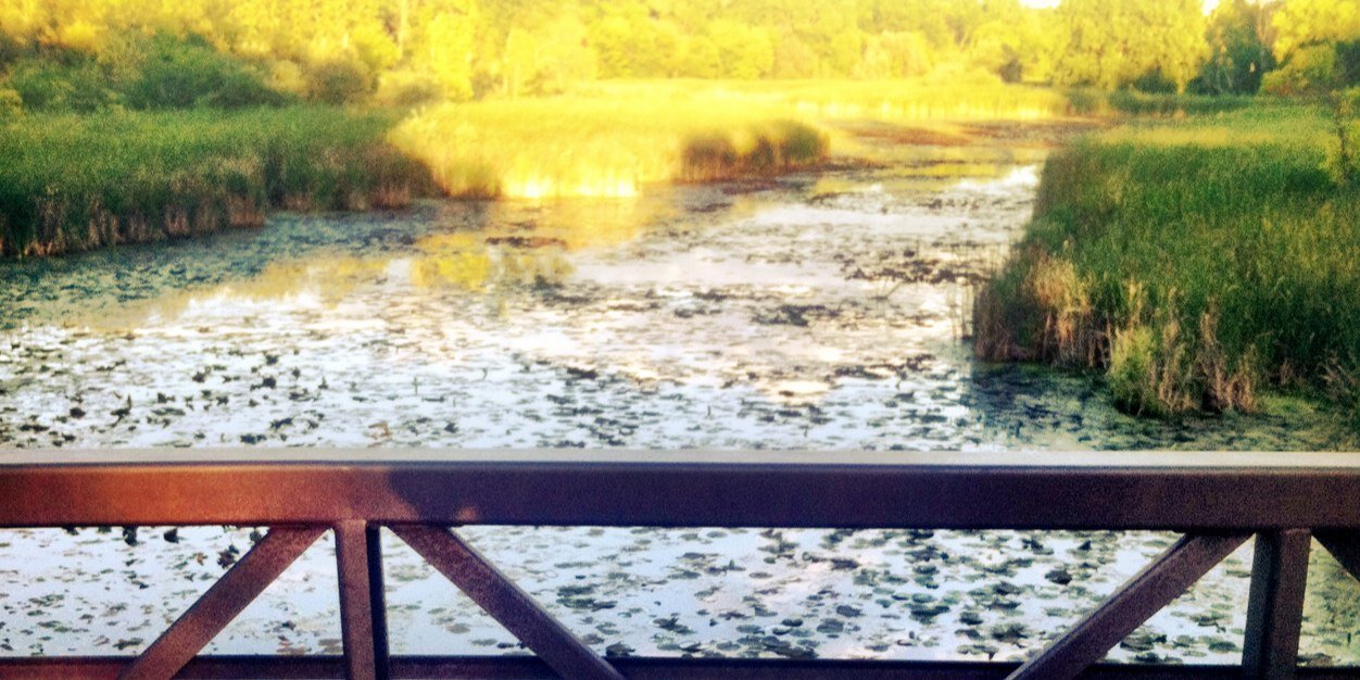 Frankie Jo banner