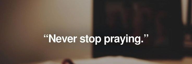 Anina banner