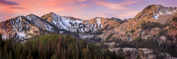 CBHC_News Profile Banner