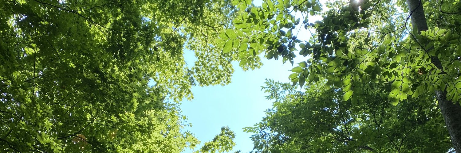 Oratnihs_'s profile banner image