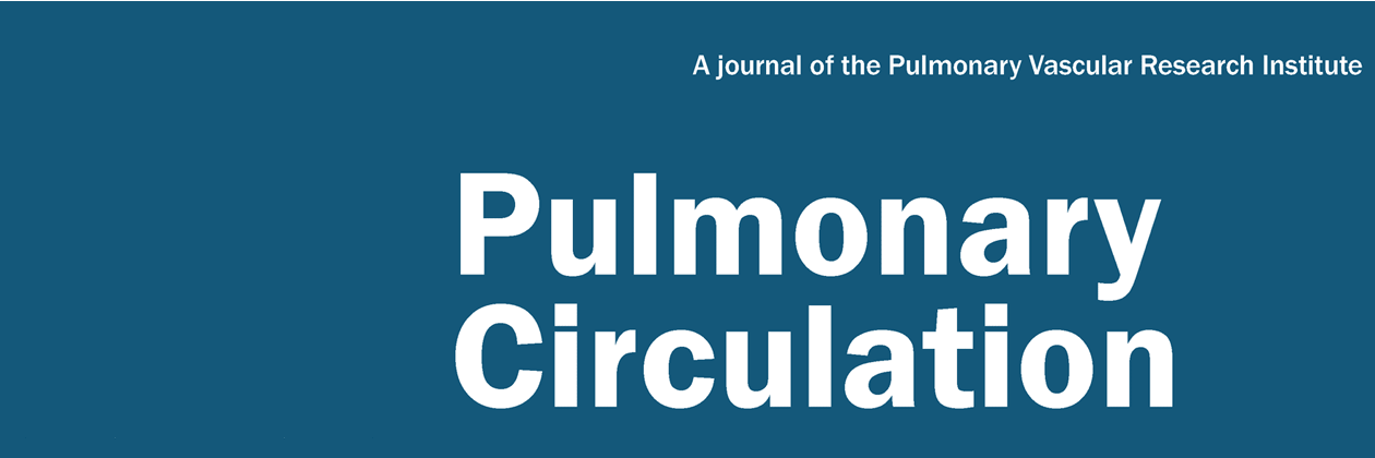 Pulmonary Circulation banner