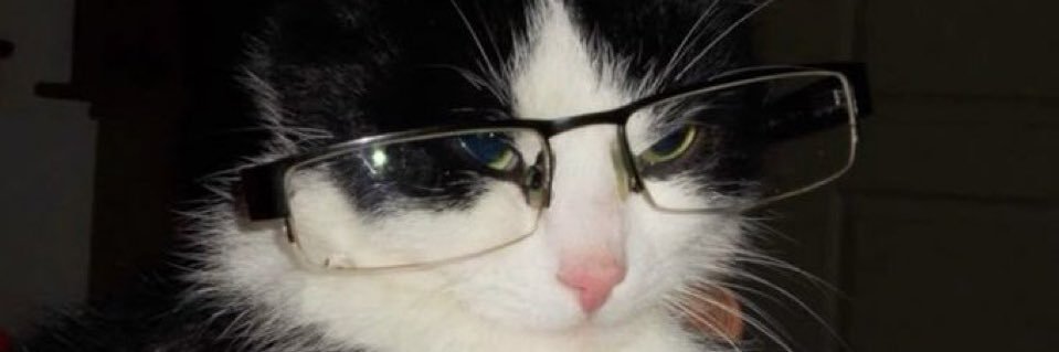koolkat256's profile banner image